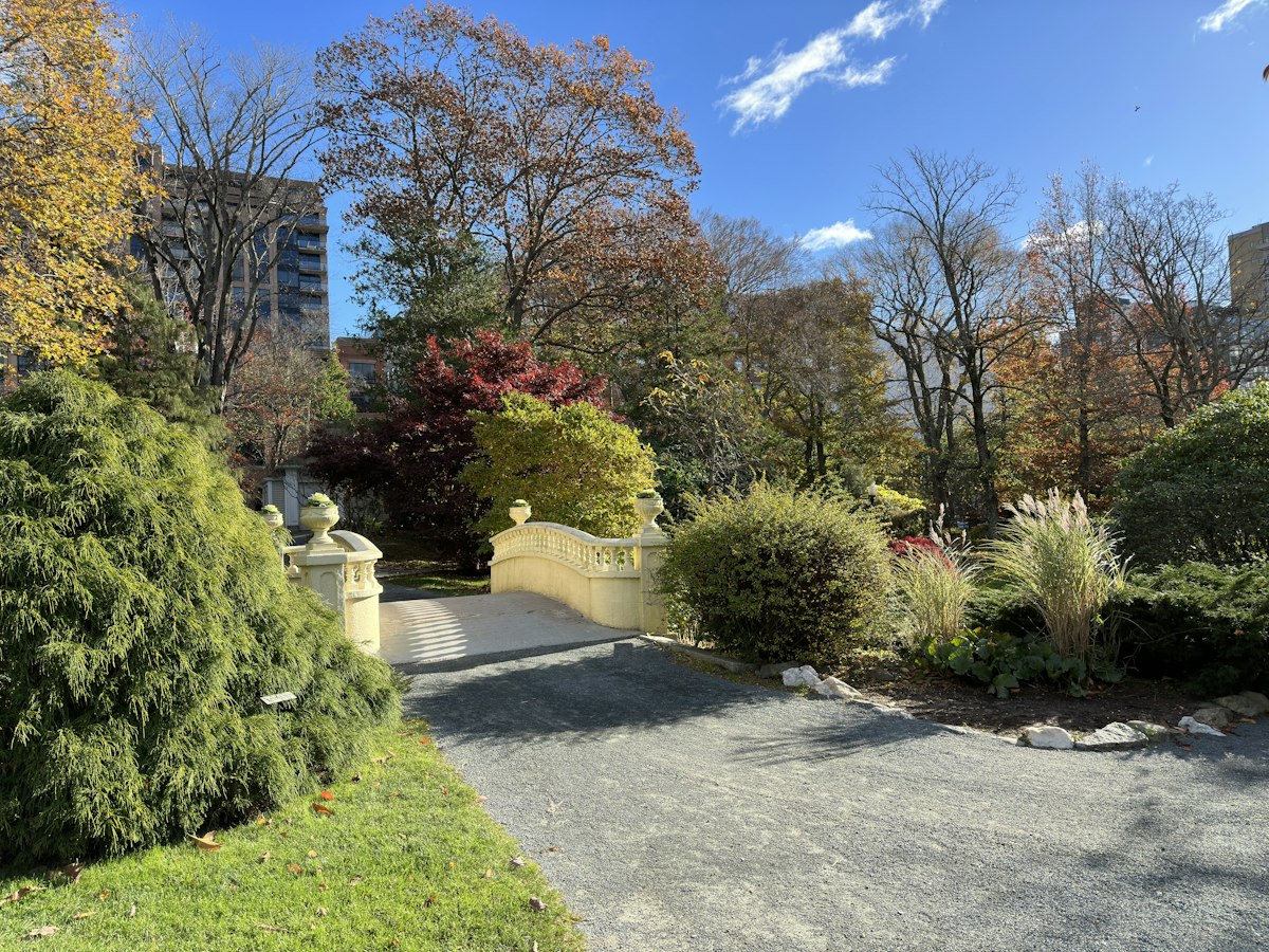Landscaped park with a path and trees, illustrative stock photograph